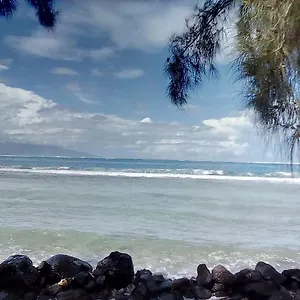 Blue Lagon Homestay